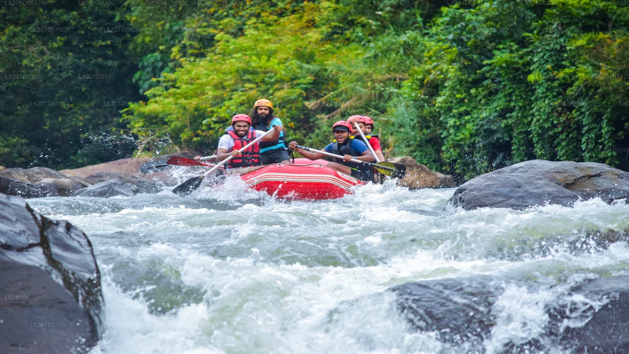 Kitulgala