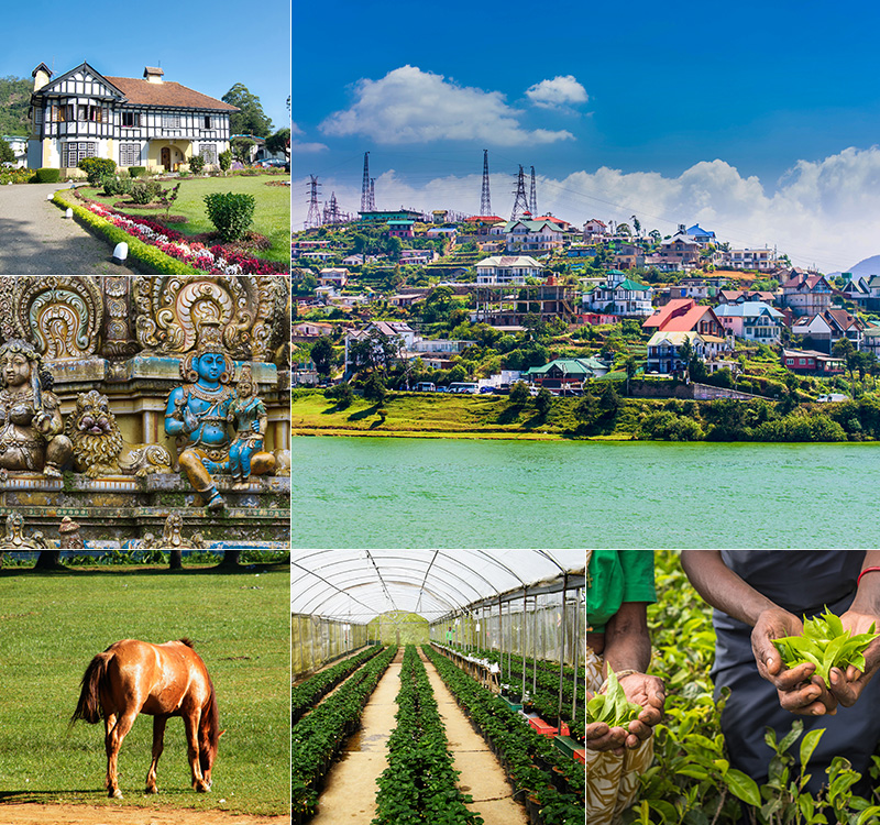 Nuwara Eliya