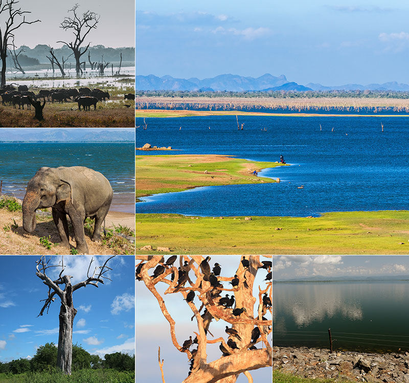 Udawalawe