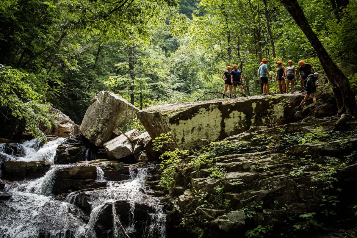 Waterfalls Trek