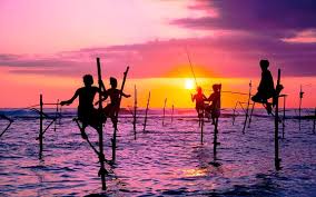 Stilt Fisherman
