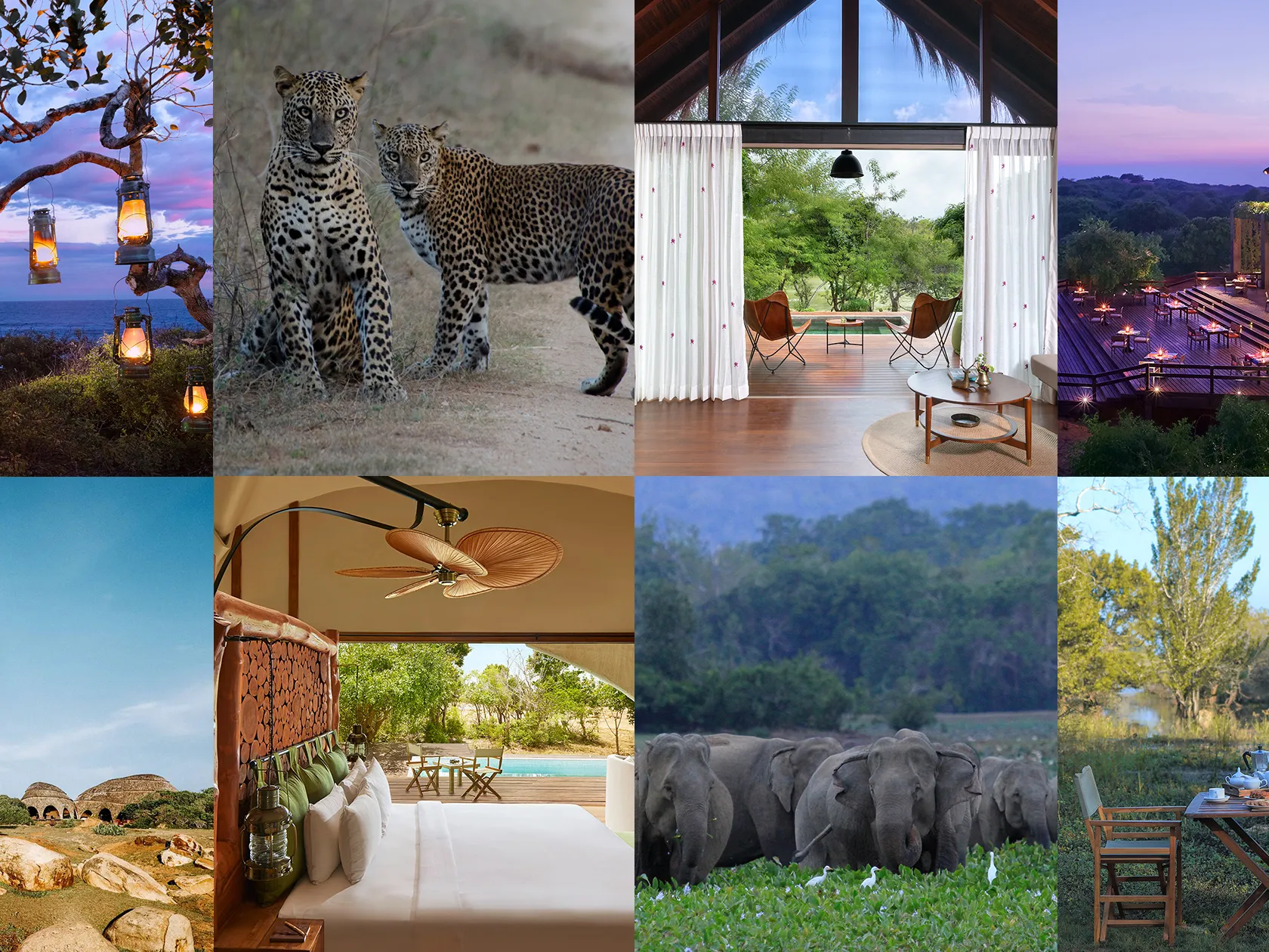 The Ultimate Guide to Sri Lanka’s Wildlife Safaris and Luxury Camping