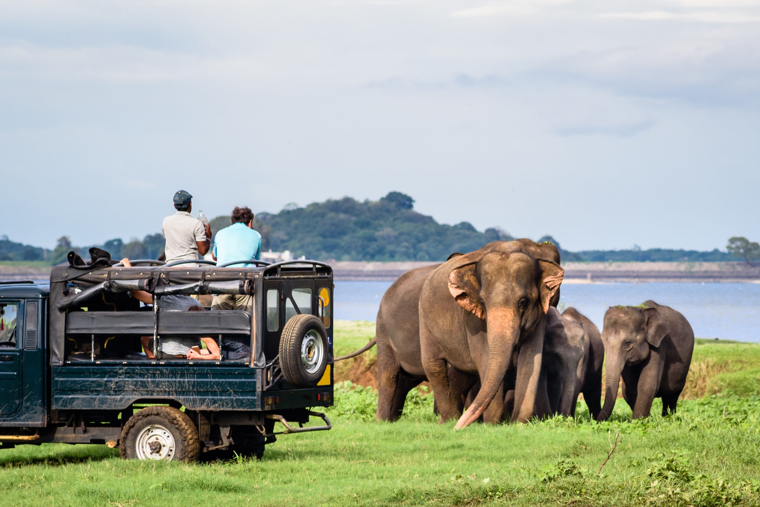 Wildlife & Nature Safari