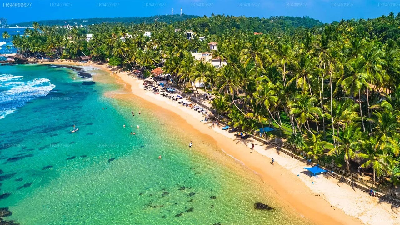 East Coast Beach & Culture